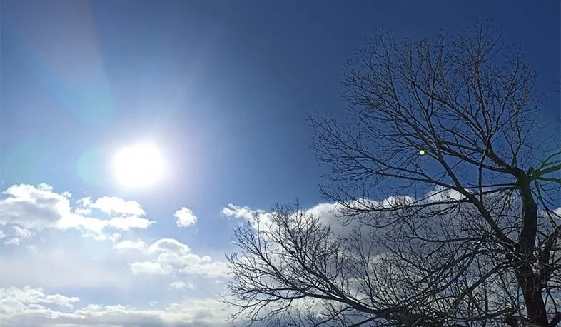 2022-02-27-ed4727a2-8121-414e-af0a-e6b9cc481829.jpeg