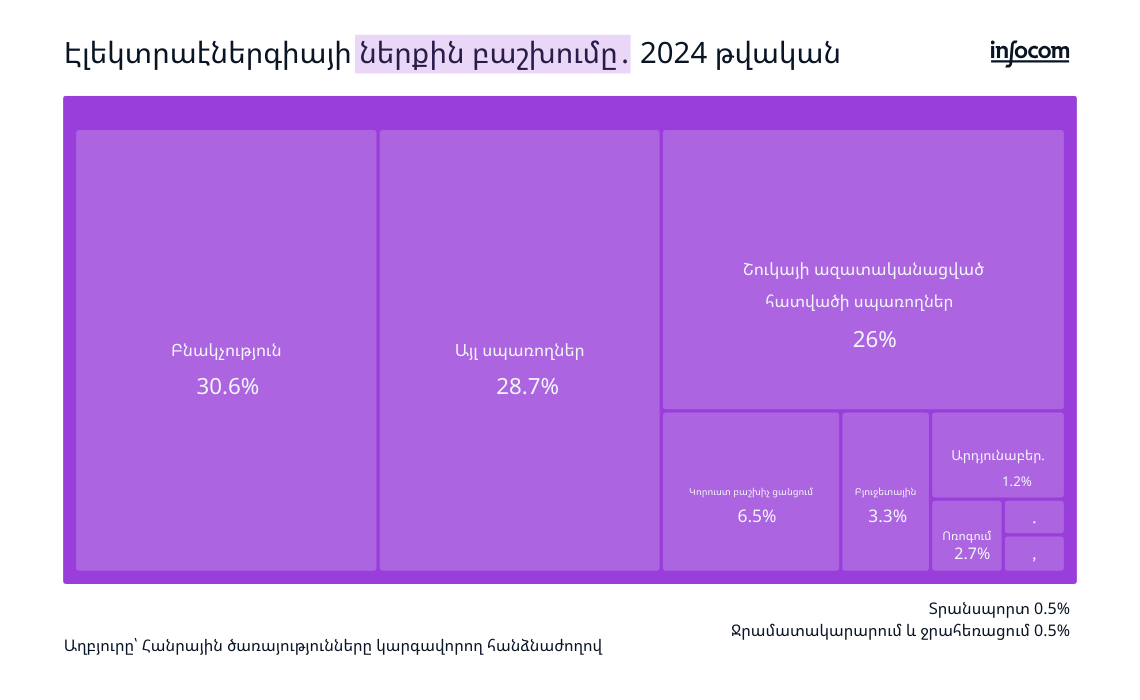 Էլեկտրաէներգիայի ներքին բաշխումը 2024 թվականին