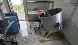 Մեղրաշատում կաթնամթերքի արտադրամասի գործունեություն է կասեցվել. ՍԱՏՄ | 1lurer.am
