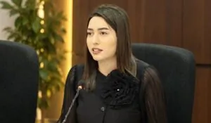Քաղաքացիությունը չի կարող լինել «ներդրման դիմաց արագ ստացվող ծառայություն», այն պետք է հիմնված լինի պետության հետ իրական և կայուն կապի վրա. ՆԳ նախարար | 1lurer.am