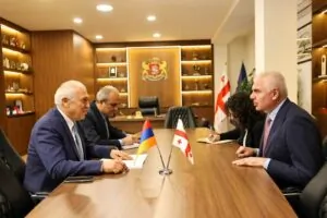 Քննարկվել են Հայաստանի և Վրաստանի միջև սպորտի ոլորտում համագործակցության խորացման հարցեր | factor.am