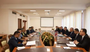 Քննարկվել են պաշտպանության բնագավառում Հայաստան-Հնդկաստան համագործակցությանն առնչվող հարցեր | 1lurer.am