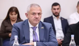 Մամիկոն Ասլանյանն ընտրվել է ԱԺ Տարածաշրջանային և եվրասիական ինտեգրման հարցերի մշտական հանձնաժողովի նախագահի տեղակալ | 1lurer.am