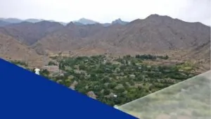 Դատախազությունը 12 հա մակերեսով 9 հողամասերը Կապան համայնքին վերադարձնելու համար պետշահերի հայց է ներկայացրել դատարան | hetq.am