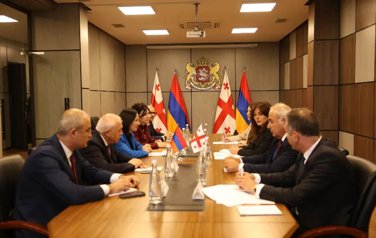 Ժաննա Անդրեասյանը հանդիպել է Վրաստանի մշակույթի նախարար Մայա Բիտաձեի հետ | shantnews.am