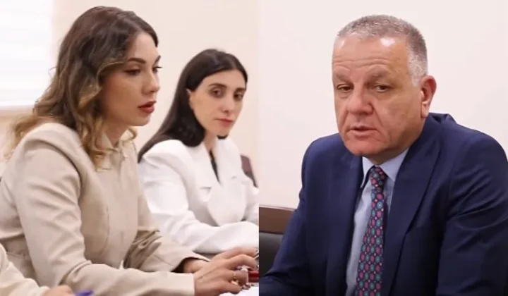 Սրբուհի Գալյանը և ԵՄ դեսպանը քննարկել են վիզաների ազատականացման գործընթացը
