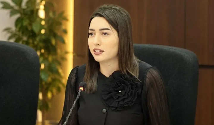 Քաղաքացիությունը չի կարող լինել «ներդրման դիմաց արագ ստացվող ծառայություն», այն պետք է հիմնված լինի պետության հետ իրական և կայուն կապի վրա. ՆԳ նախարար | 1lurer.am