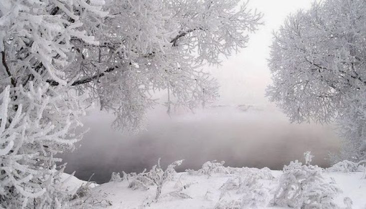 2020-12-02-29f5de76-0059-438f-a63d-1b4b00dfde09.jpg