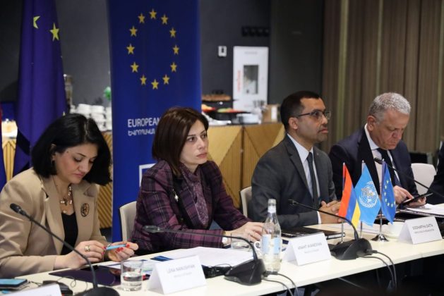 Անահիտ Ավանեսյանը միջազգային գործընկերներին ներկայացրել է առողջապահության ոլորտի բարեփոխումների ընթացքը