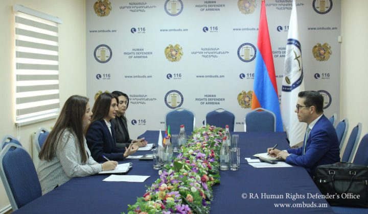 ՄԻՊ աշխատակազմի գլխավոր քարտուղարը Բրազիլիայի դեսպանին է ներկայացրել Պաշտպանի լիազորությունների շրջանակը