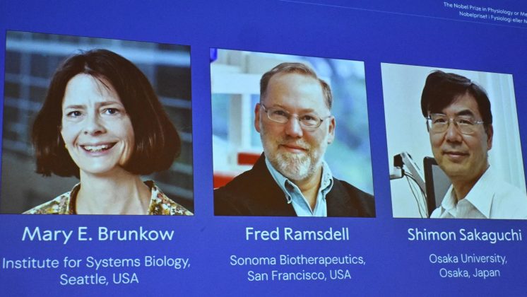 2025_nobel_prize_medicine_laureates_a613498892