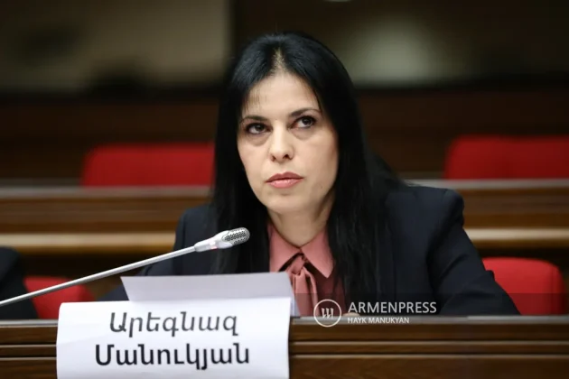 Արեգնազ Մանուկյանին կալանավորելու միջնորդություն է ներկայացվել դատարան | armenpress.am