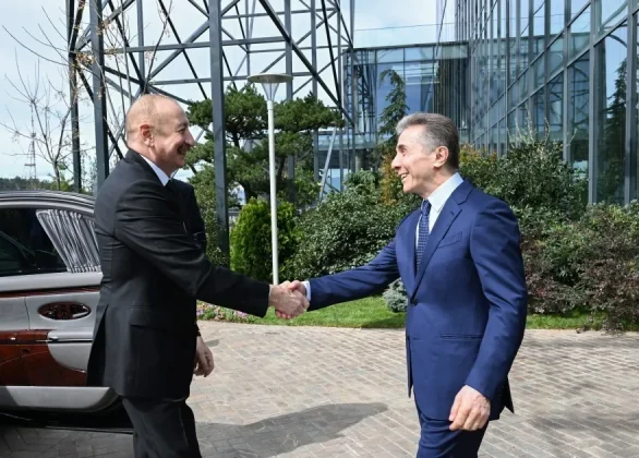 Բիձինա Իվանիշվիլին ընդունել է Ալիևին. հայտնի է՝ ինչ հարցեր են քննարկվել | factor.am