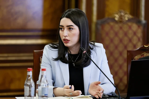 Այս շաբաթ ԵՄ-ից պաշտոնապես կստանանք գործողությունների ծրագիրը, և գնդակն արդեն կլինի ՀՀ դաշտում. ՆԳ նախարարը՝ վիզաների ազատականացման մասին | 1lurer.am
