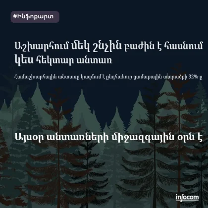Անտառների միջազգային օր