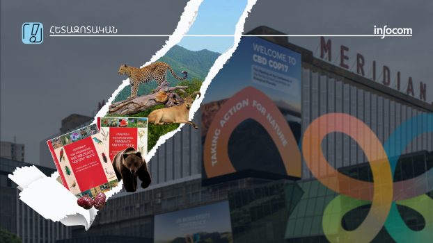 Հայաստանի մոռացված Կարմիր գիրքը՝ COP17-ին ընդառաջ