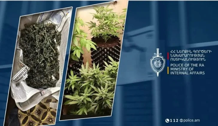 Հայտնաբերվել է ջերմոց, թմրանյութի արտադրամաս և մեծ քանակի թմրամիջոցներ․ ՆԳՆ