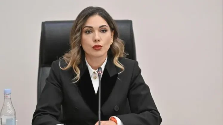 Սրբուհի Գալյանը պնդեց՝ ընտրությունների արդյունքները կասկածի տակ դնող ապացույցներ չեն ներկայացվել | hetq.am