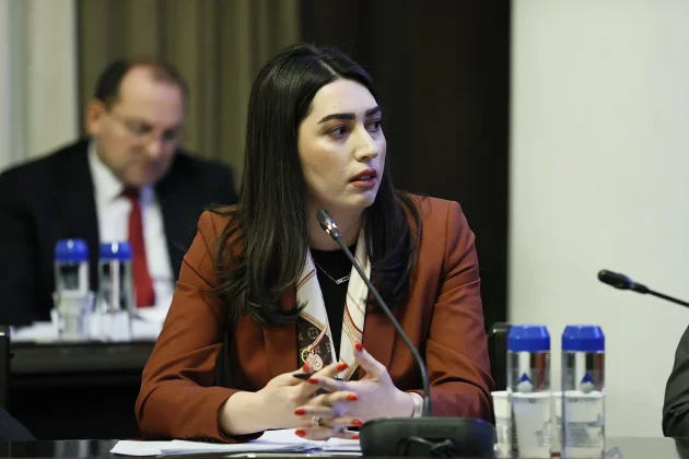 Աջափնյակի կրակոցների դեպքով մեղադրյալների թիվը հասել է 20-ի. ՆԳ նախարար | news.am