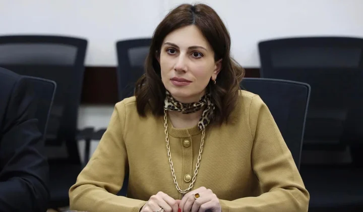 Աճել են դեղորայքից և կենցաղային քիմիական նյութերից երեխաների թունավորման դեպքերը. Ավանեսյան | 1lurer.am