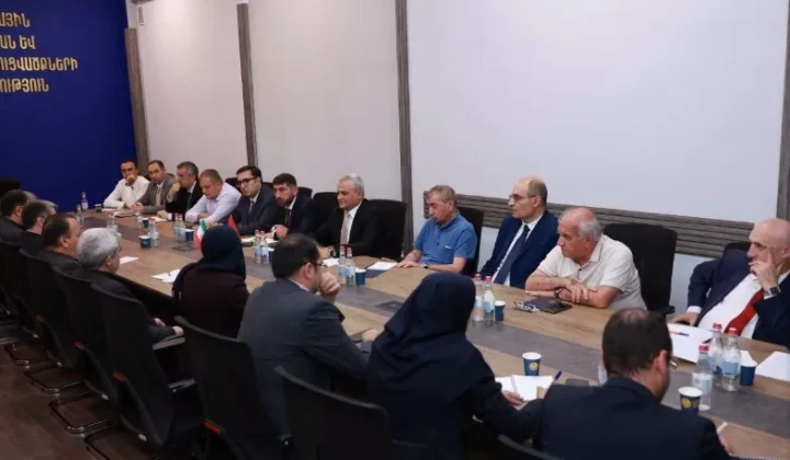 Հայաստանն ու Իրանը քննարկել են 400 կՎ էլեկտրահաղորդման գծի կառուցման ծրագրի ընթացքը