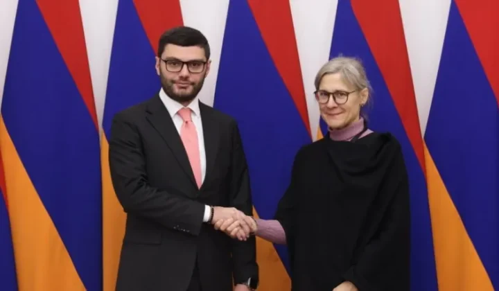 Քննարկվել են Հայաստան-Շվեդիա խորհրդարանական համագործակցության զարգացման հարցերը
