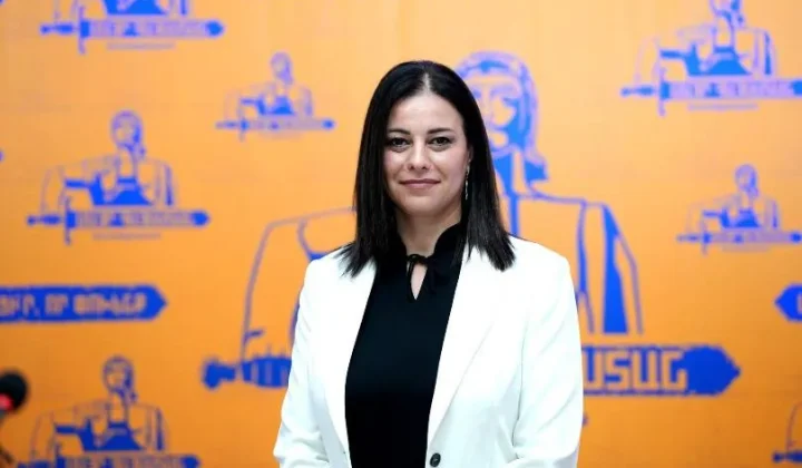 Արեգնազ Մանուկյանը երկու ամսով կալանավորվել է | 1lurer.am