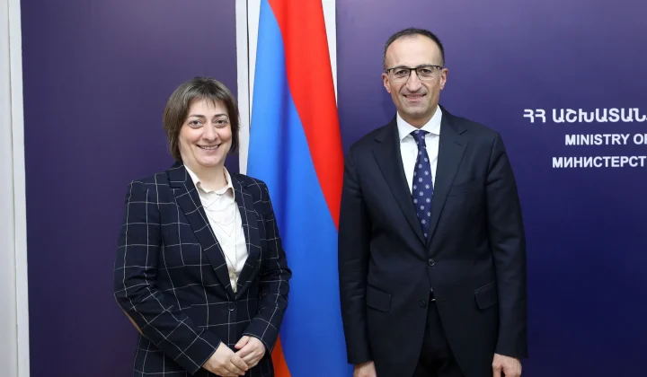 Արսեն Թորոսյանը և Նաթիա Նացվլիշվիլին քննարկել են զբաղվածության խթանման, սոցիալական ներառման և գենդերային հավասարության ապահովման հարցեր