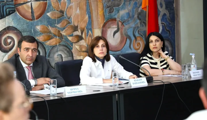 Առողջապահության նախարարին կից հասարակական խորհրդի նիստին քննարկվել են հոգեբուժական օգնության և սպասարկման մասին օրենսդրական բարեփոխումները | 1lurer.am
