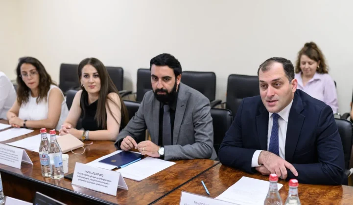 ԲՏԱՆ-ում քննարկվել են COP17-ի նախապատրաստական աշխատանքների շրջանակում համագործակցության ուղղությունները