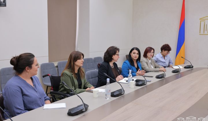 Եվրոպացի փորձագետների հետ քննարկվել են անձնական օգնականի, ներառական աշխատաշուկային վերաբերող հարցեր
