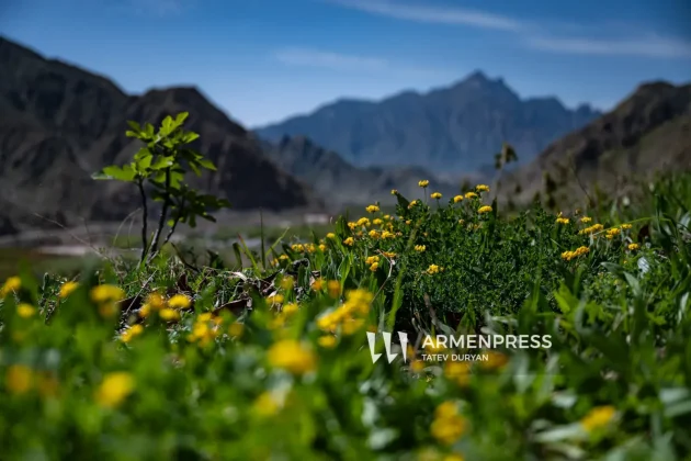 Օգոստոսին արտառոց շոգեր կամ ցրտեր չեն սպասվում. Գագիկ Սուրենյան | armenpress.am